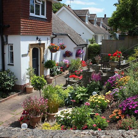 Ashlea At Amberley Villa Sidmouth Luaran gambar